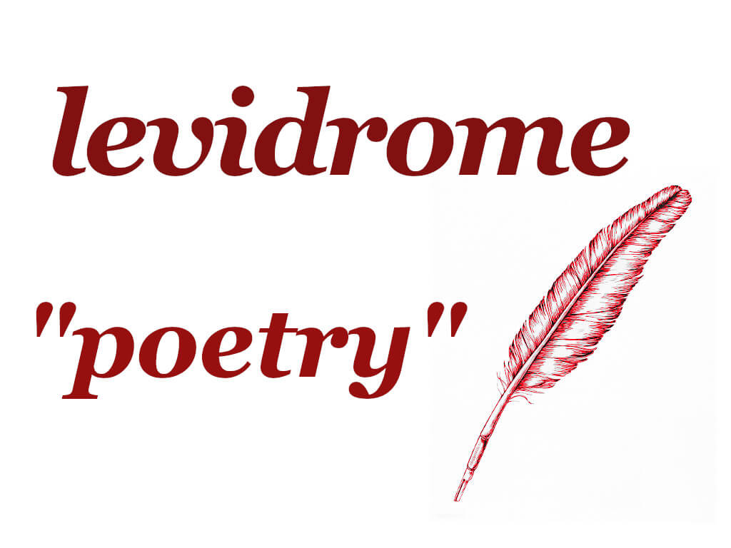 Levidrome Poetry